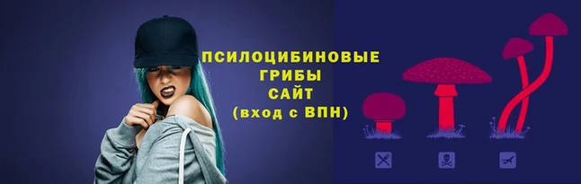прущие крисы Верхний Тагил